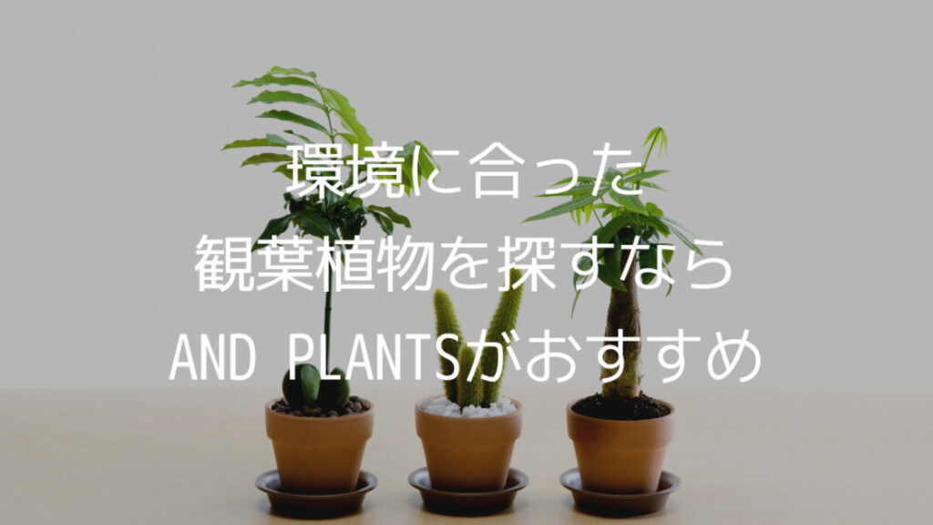 観葉植物 まとめ (2)